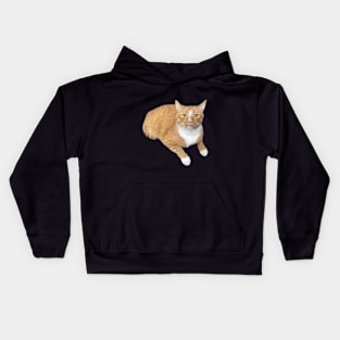 Orange cat scared face Kids Hoodie